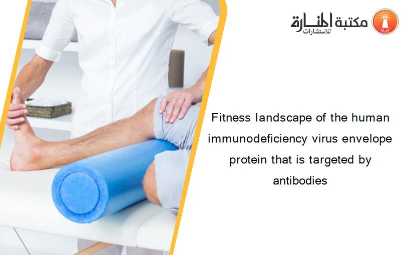 Fitness landscape of the human immunodeficiency virus envelope protein that is targeted by antibodies