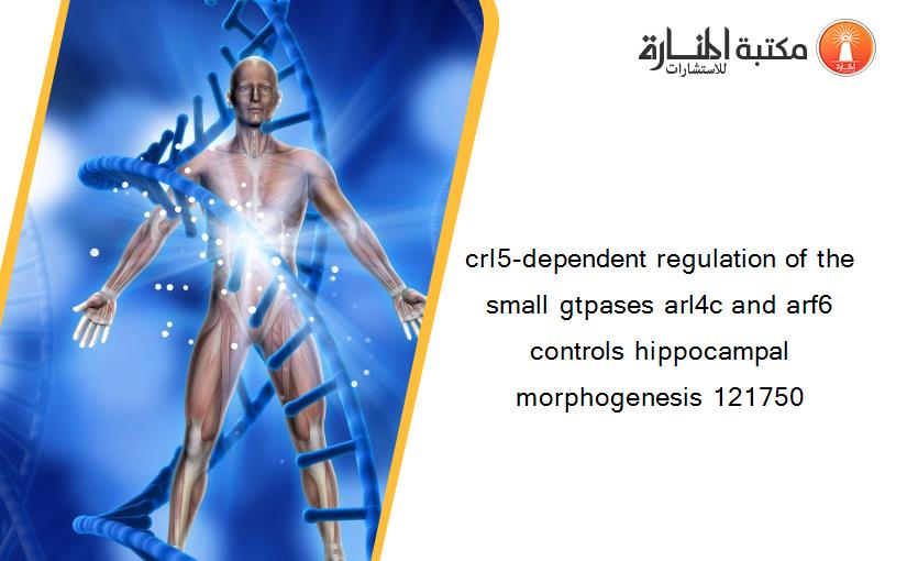 crl5-dependent regulation of the small gtpases arl4c and arf6 controls hippocampal morphogenesis 121750