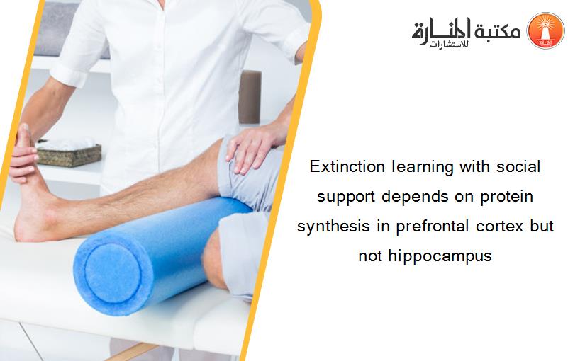 Extinction learning with social support depends on protein synthesis in prefrontal cortex but not hippocampus