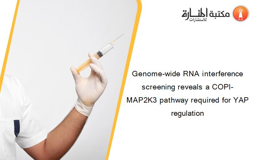 Genome-wide RNA interference screening reveals a COPI-MAP2K3 pathway required for YAP regulation
