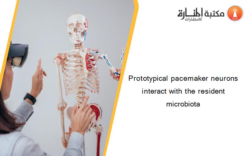 Prototypical pacemaker neurons interact with the resident microbiota
