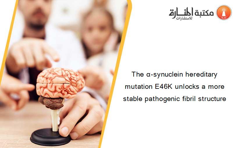 The α-synuclein hereditary mutation E46K unlocks a more stable pathogenic fibril structure
