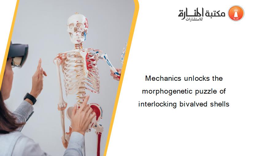 Mechanics unlocks the morphogenetic puzzle of interlocking bivalved shells