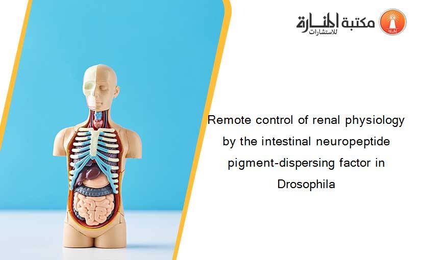 Remote control of renal physiology by the intestinal neuropeptide pigment-dispersing factor in Drosophila