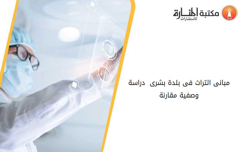 مبانى التراث فى بلدة بشرى  دراسة وصفية مقارنة