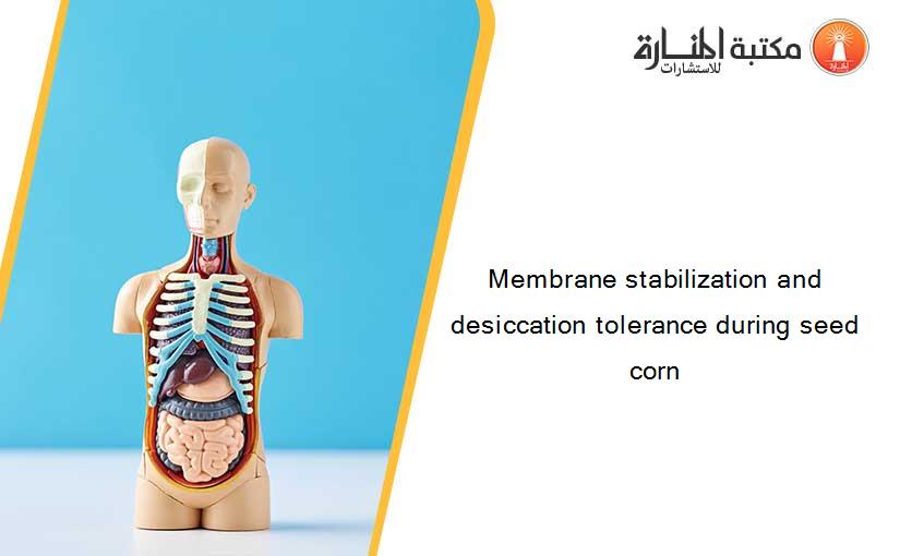 Membrane stabilization and desiccation tolerance during seed corn