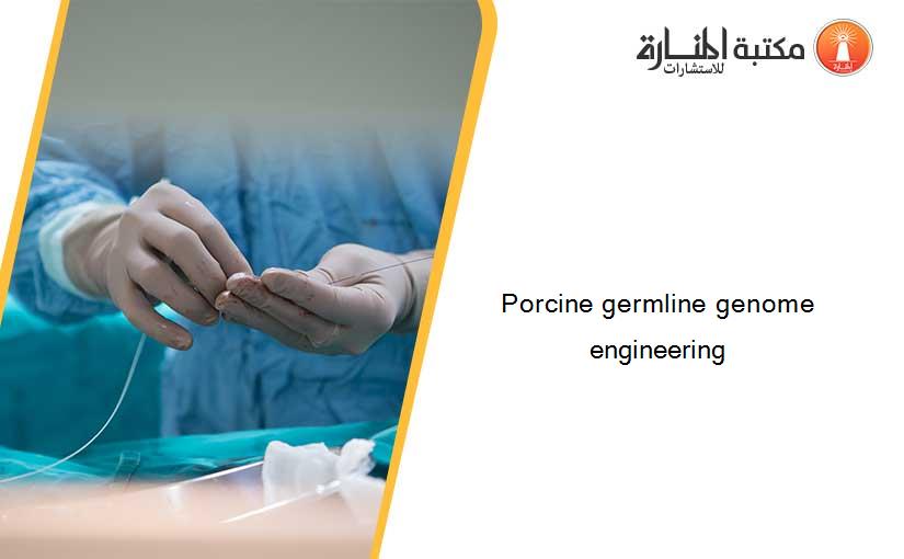 Porcine germline genome engineering
