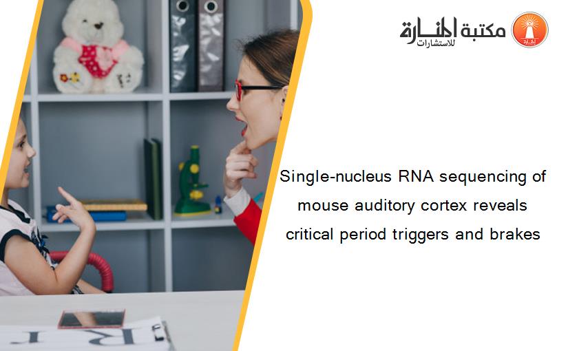 Single-nucleus RNA sequencing of mouse auditory cortex reveals critical period triggers and brakes