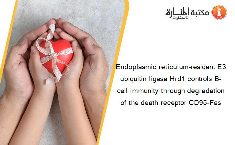 Endoplasmic reticulum-resident E3 ubiquitin ligase Hrd1 controls B-cell immunity through degradation of the death receptor CD95-Fas