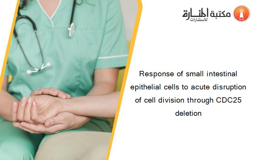 Response of small intestinal epithelial cells to acute disruption of cell division through CDC25 deletion