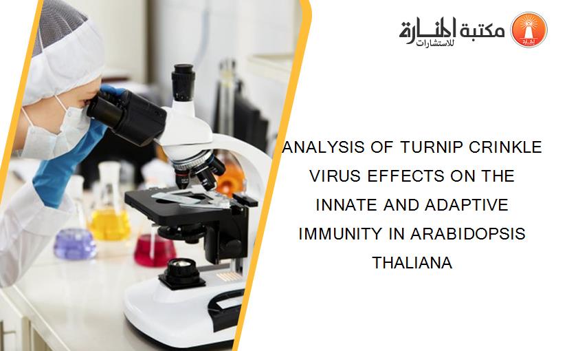 ANALYSIS OF TURNIP CRINKLE VIRUS EFFECTS ON THE INNATE AND ADAPTIVE IMMUNITY IN ARABIDOPSIS THALIANA