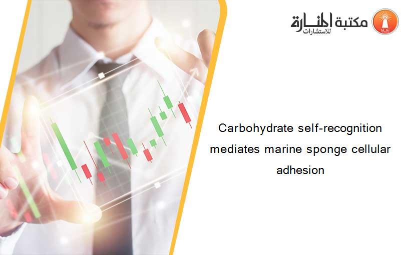 Carbohydrate self-recognition mediates marine sponge cellular adhesion