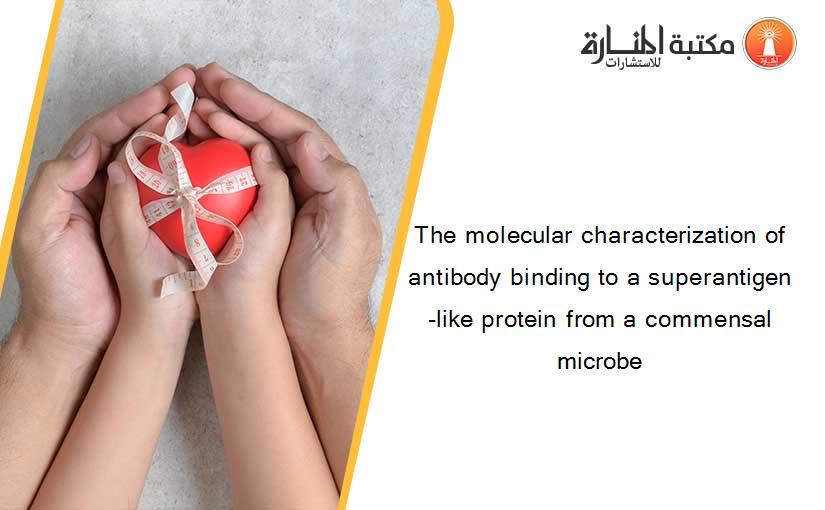 The molecular characterization of antibody binding to a superantigen-like protein from a commensal microbe
