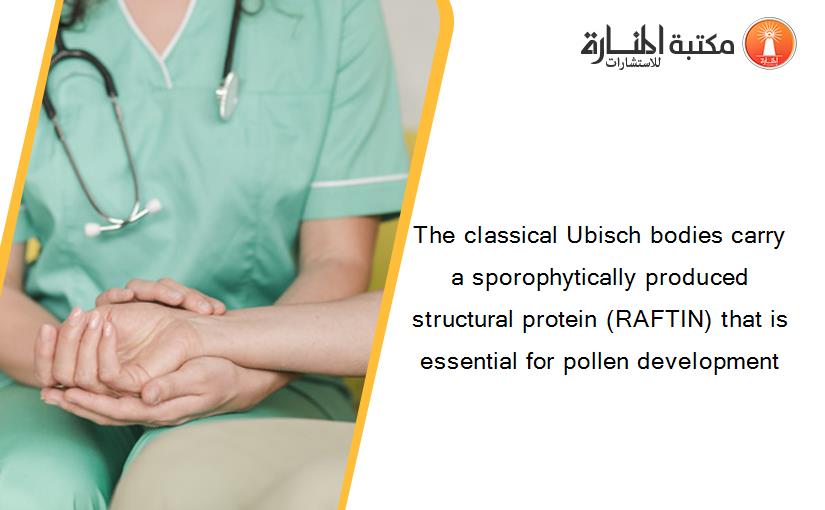 The classical Ubisch bodies carry a sporophytically produced structural protein (RAFTIN) that is essential for pollen development