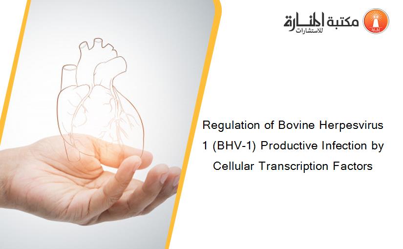 Regulation of Bovine Herpesvirus 1 (BHV-1) Productive Infection by Cellular Transcription Factors