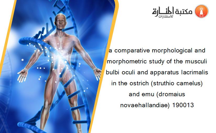 a comparative morphological and morphometric study of the musculi bulbi oculi and apparatus lacrimalis in the ostrich (struthio camelus) and emu (dromaius novaehallandiae) 190013