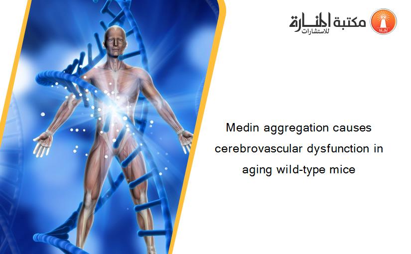 Medin aggregation causes cerebrovascular dysfunction in aging wild-type mice