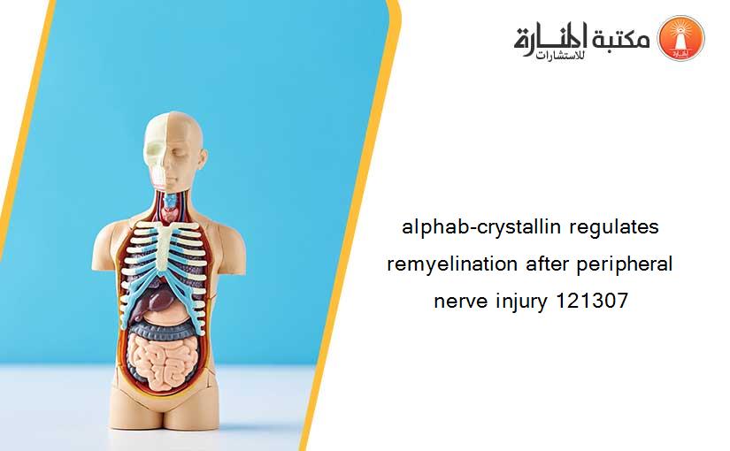 alphab-crystallin regulates remyelination after peripheral nerve injury 121307