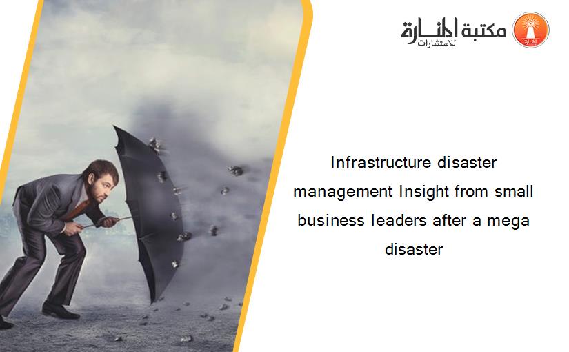 Infrastructure disaster management Insight from small business leaders after a mega disaster