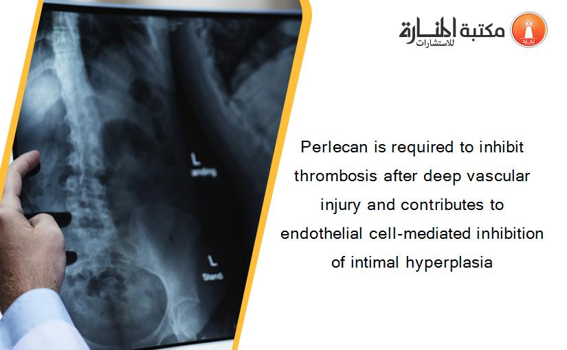 Perlecan is required to inhibit thrombosis after deep vascular injury and contributes to endothelial cell-mediated inhibition of intimal hyperplasia