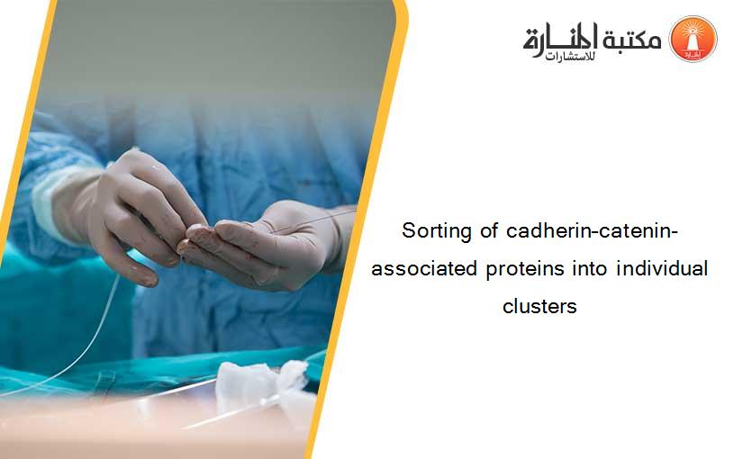 Sorting of cadherin–catenin-associated proteins into individual clusters
