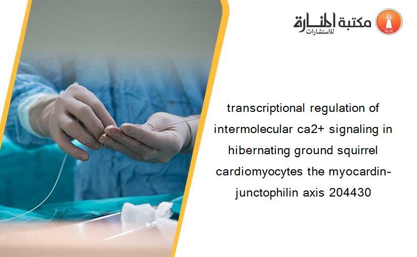 transcriptional regulation of intermolecular ca2+ signaling in hibernating ground squirrel cardiomyocytes the myocardin–junctophilin axis 204430