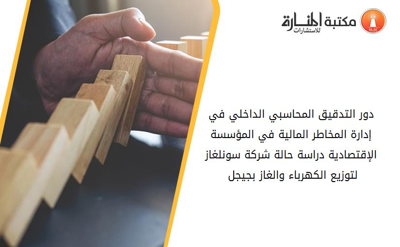 دور التدقيق المحاسبي الداخلي في إدارة المخاطر المالية في المؤسسة الإقتصادية دراسة حالة شركة سونلغاز لتوزيع الكهرباء والغاز بجيجل 170921