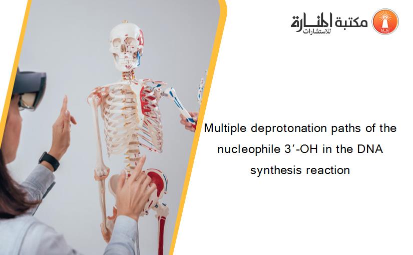 Multiple deprotonation paths of the nucleophile 3′-OH in the DNA synthesis reaction