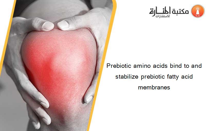 Prebiotic amino acids bind to and stabilize prebiotic fatty acid membranes