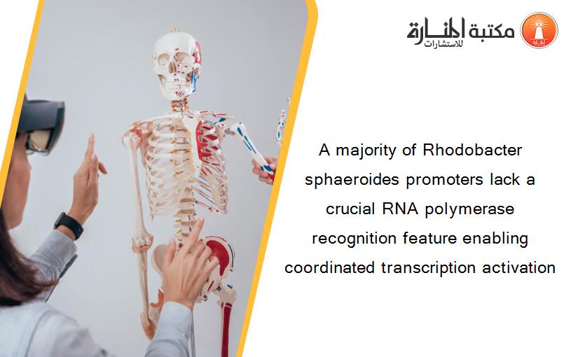 A majority of Rhodobacter sphaeroides promoters lack a crucial RNA polymerase recognition feature enabling coordinated transcription activation