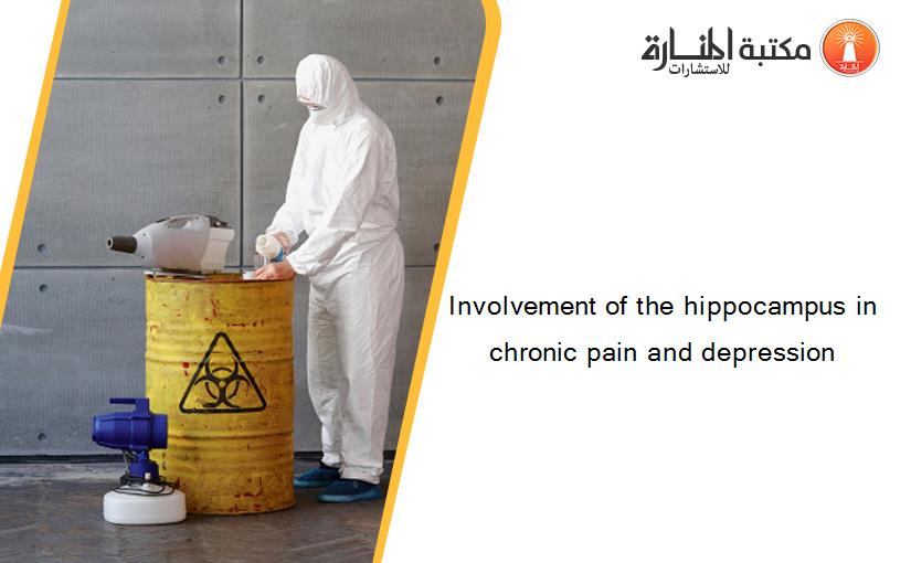 Involvement of the hippocampus in chronic pain and depression