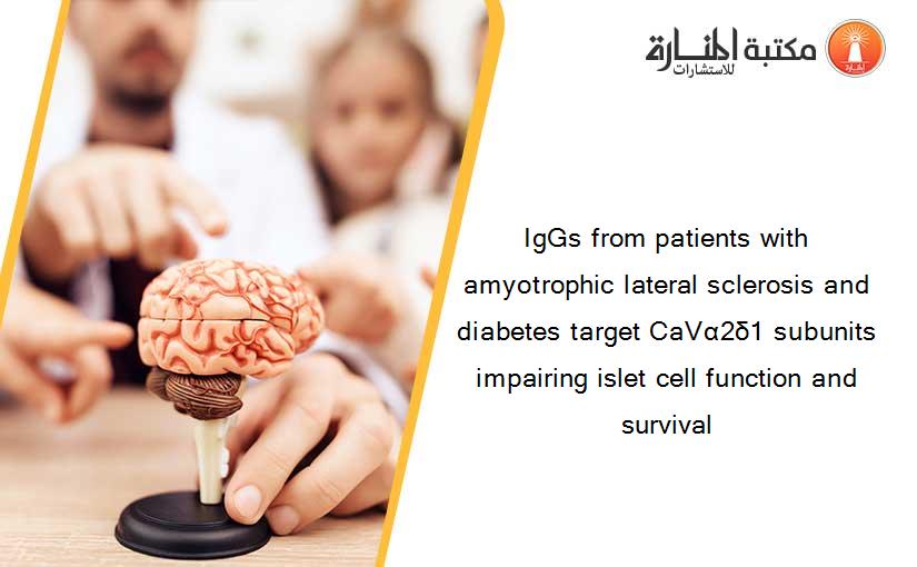 IgGs from patients with amyotrophic lateral sclerosis and diabetes target CaVα2δ1 subunits impairing islet cell function and survival