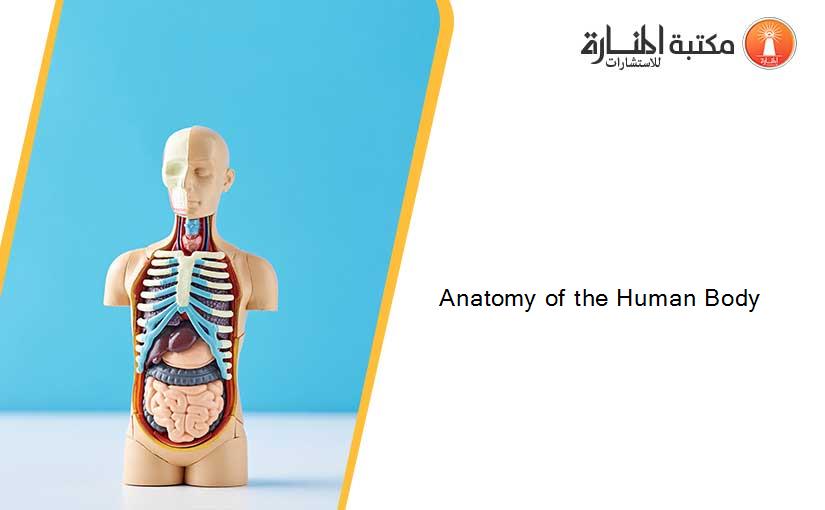 Anatomy of the Human Body