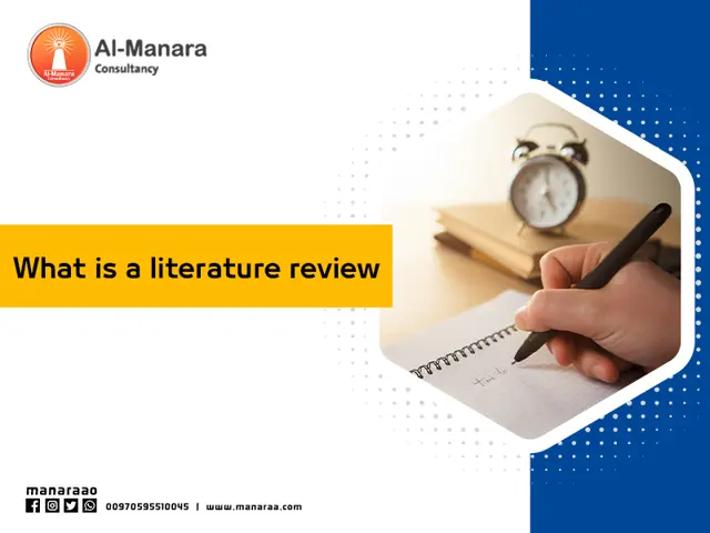 What is a literature review