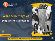 What percentage of plagiarism is allowed?