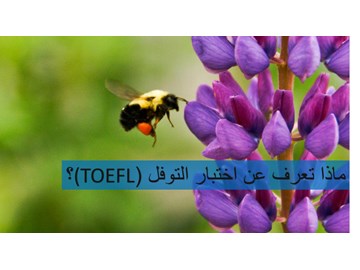 ماذا تعرف عن اختبار التوفل TOEFL