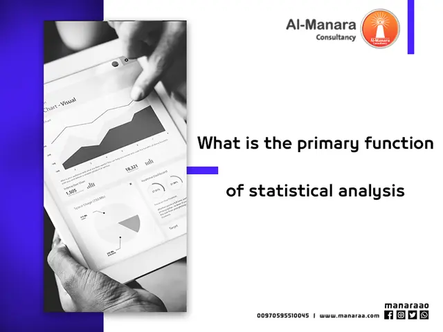 What is the primary function of statistical analysis