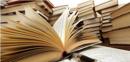   Ways scientists in reviews of scientific research