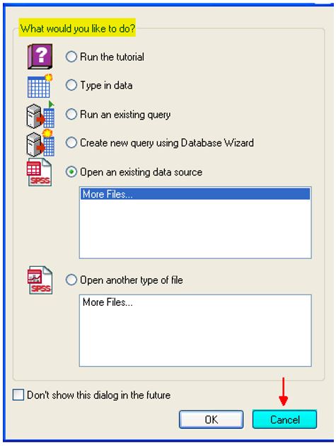 نافذة العمل على برنامج SPSS