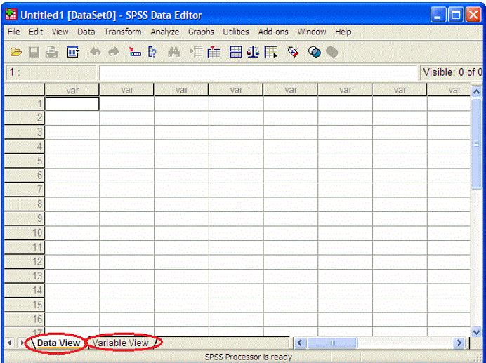 واجهة برنامج SPSS